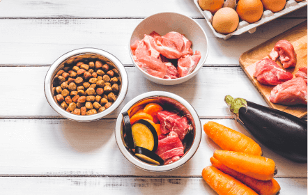 Семена "Партнер"